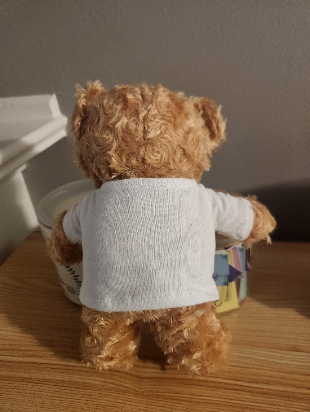 Adoptable Bear (1) - Picture 5 of 5